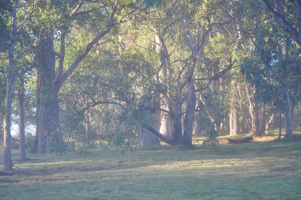 Tallawarra Homestead Tonimbuc Buitenkant foto