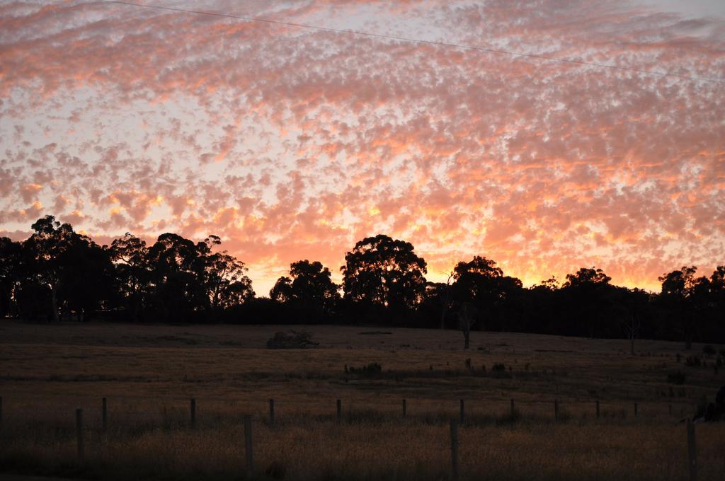 Tallawarra Homestead Tonimbuc Buitenkant foto